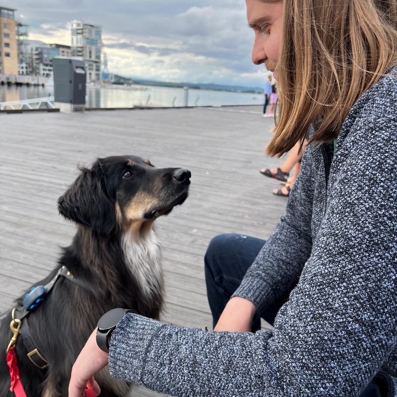 Eric Zabel – Founder